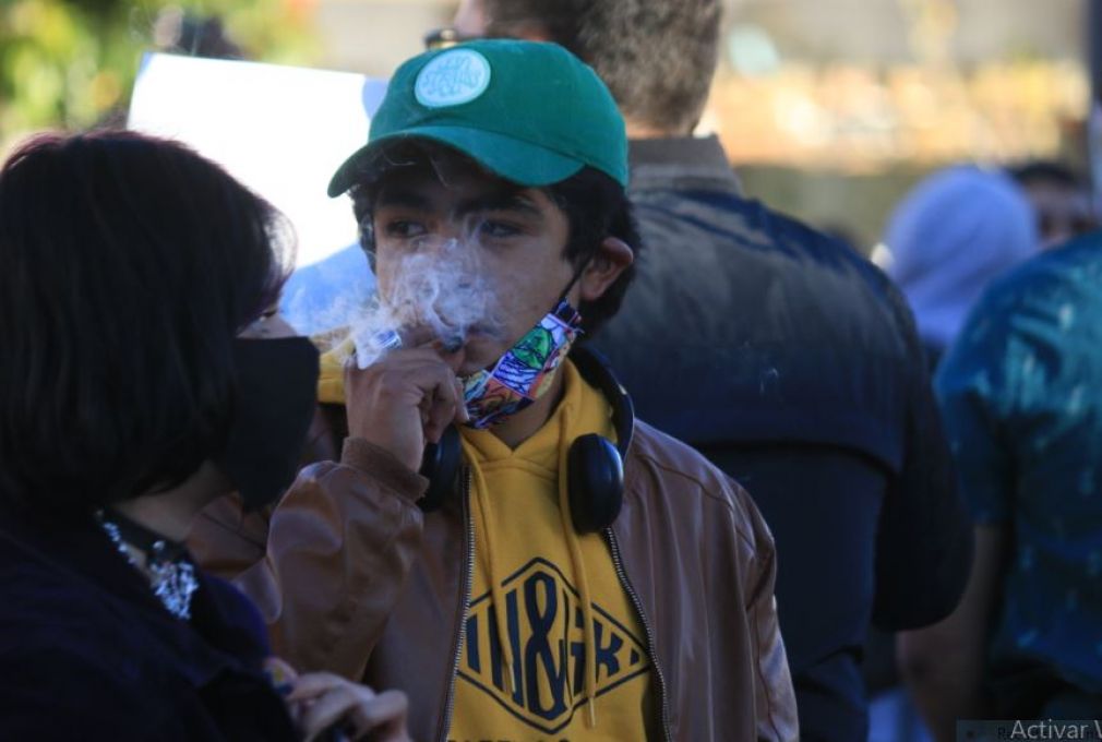 Consumidores de cannabis en Pachuca se suman al movimiento nacional para la despenalización del enervante 
